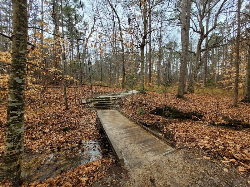 American Beech Trail & Family-Friendly Walks