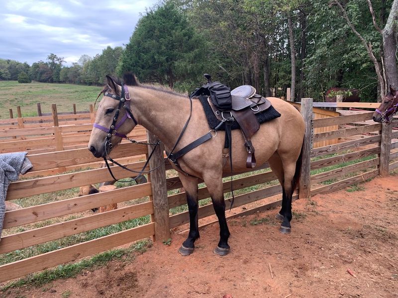 HDK Ranch