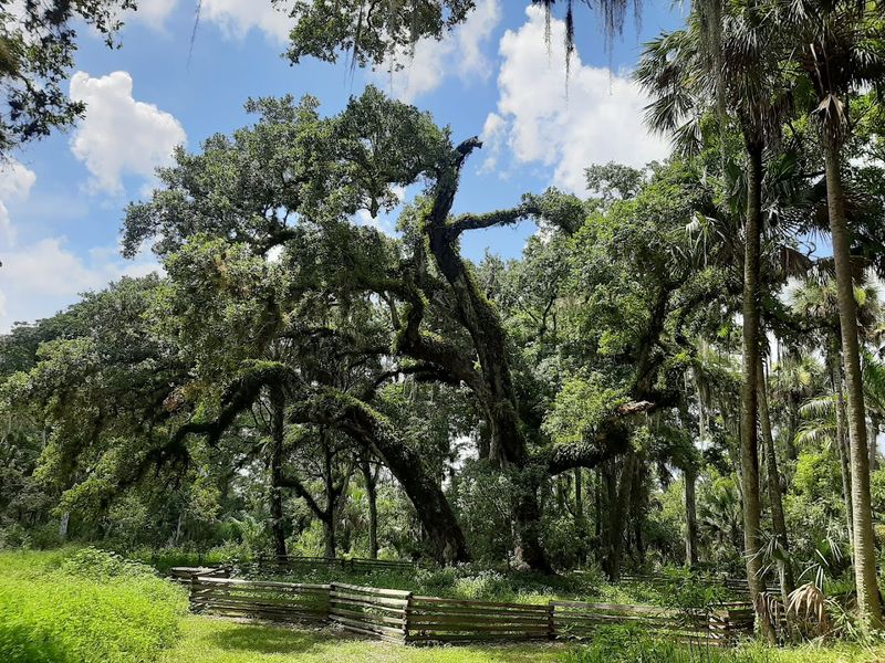 Loxahatchee River Battlefield Park Trails 