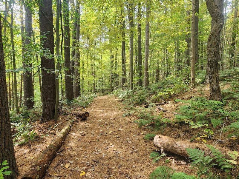 Mohican State Park Equestrian Trails 