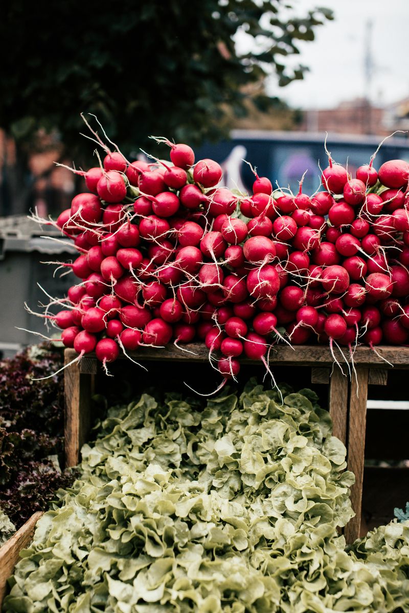 South Windsor Farmers Market &mdash; South Windsor