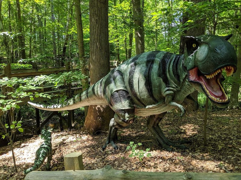 Virginia Living Museum - Newport News