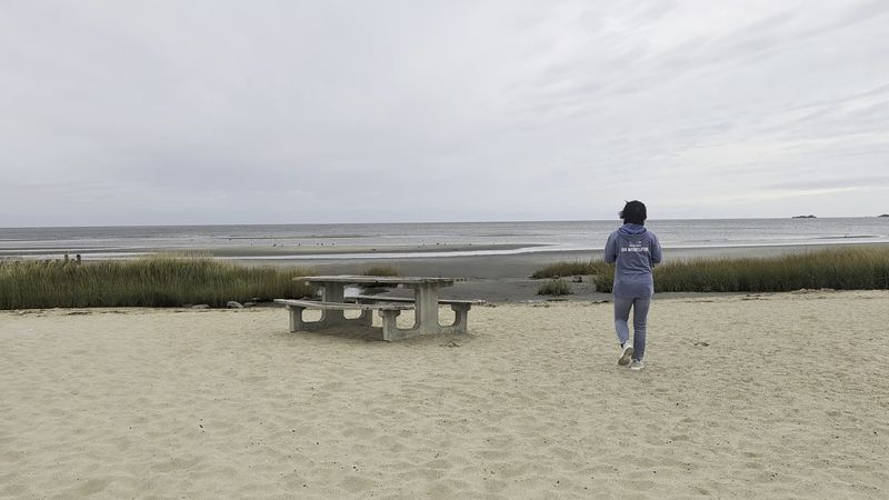 Harvey's Beach