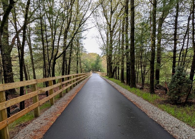 Bruce Freeman Rail Trail