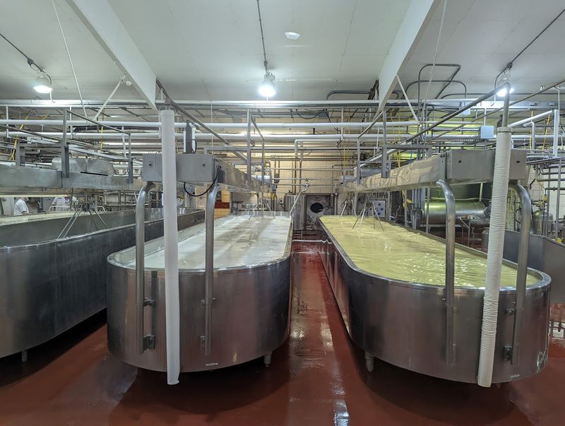 A Behind-the-Scenes Look at Cheesemaking