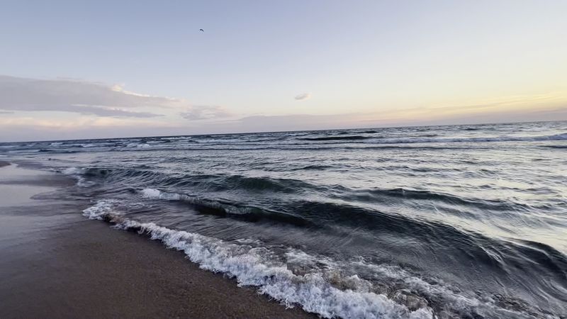 Grand Haven State Park Beach (Grand Haven, Ottawa)