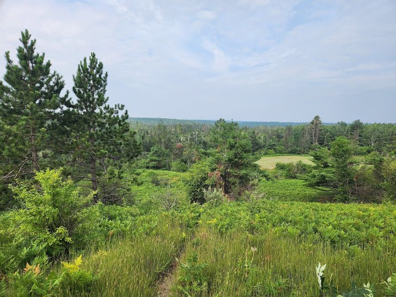 Pigeon River Country State Forest - Vanderbilt, Michigan