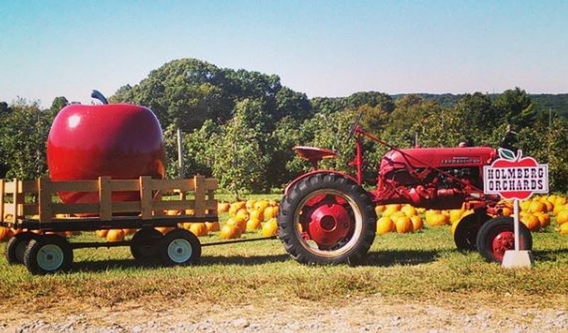 Holmberg Orchards (Gales Ferry)