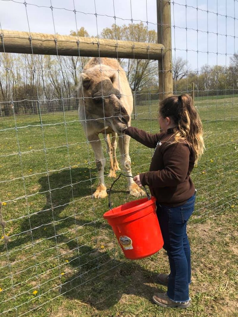 Wild Acres Ranch (Sandusky)