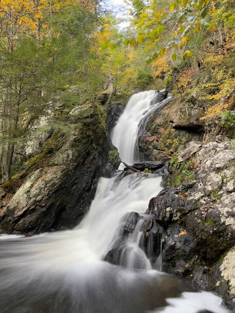 Campbell Falls