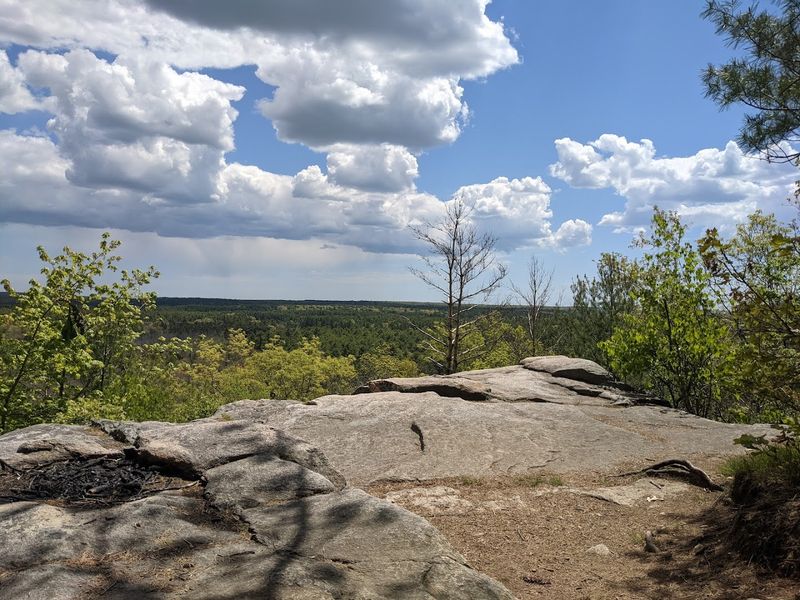 Pachaug State Forest