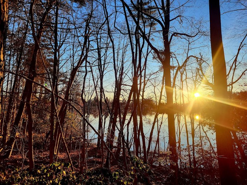 West Rock Ridge State Park 