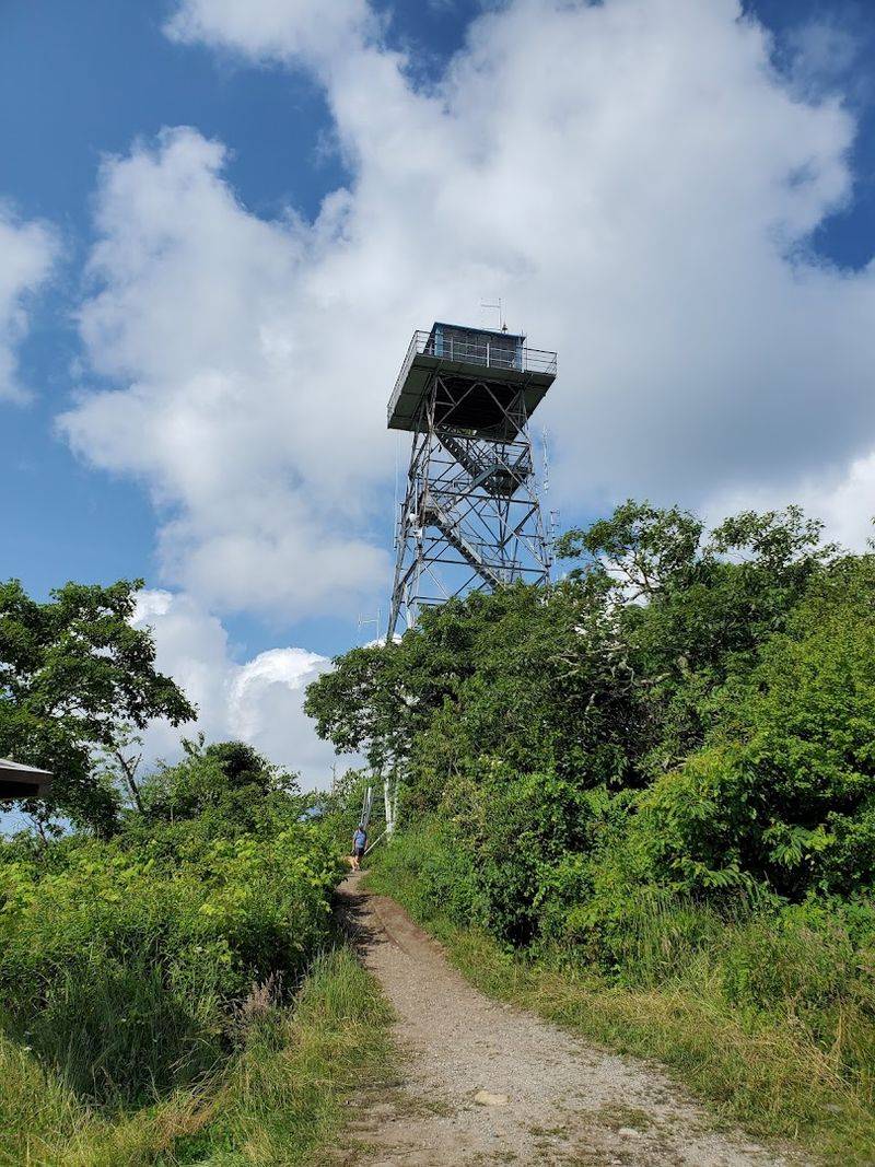 Mount Pisgah Summit Trail Adventure
