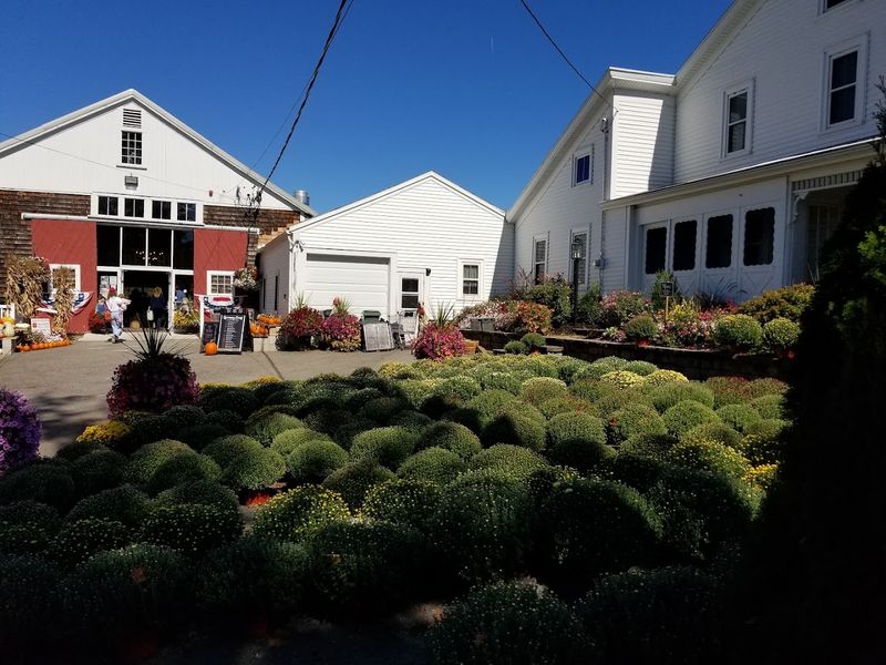 Cider Hill Farm