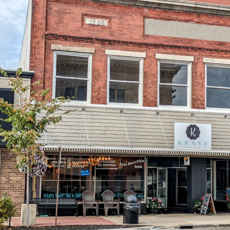 KRAVE Frozen Yogurt & Candy Shoppe, Ludington