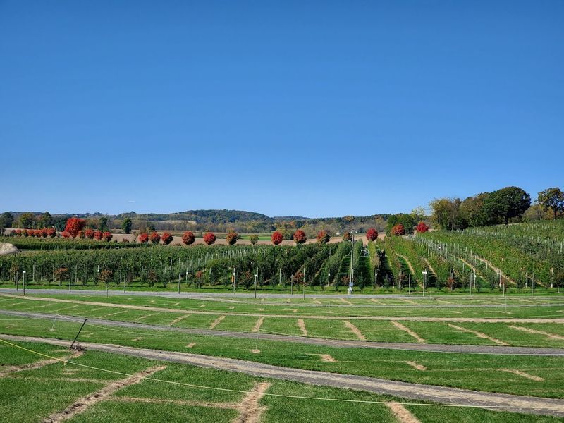 Grim's Orchard & Family Farms - Breinigsville, Lehigh County