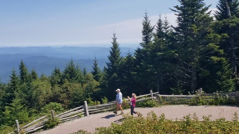 Mount Mitchell State Park