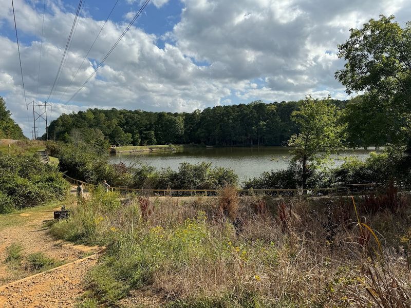 William B. Umstead State Park - Sal&rsquo;s Branch Trail 