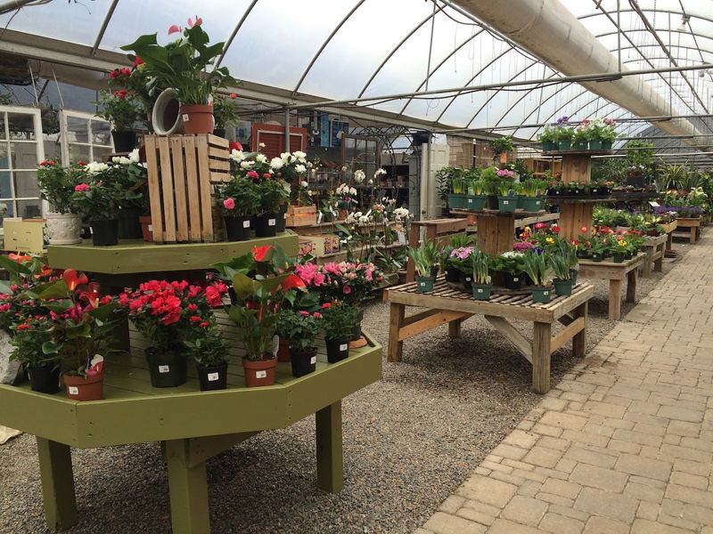 Cross Creek Nursery - Richmond, Chesterfield County