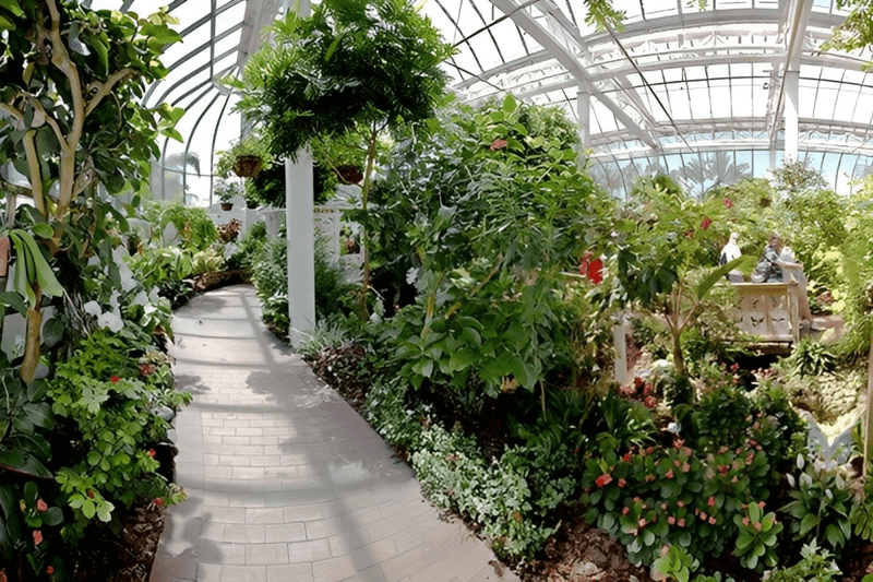 Key West Butterfly and Nature Conservatory