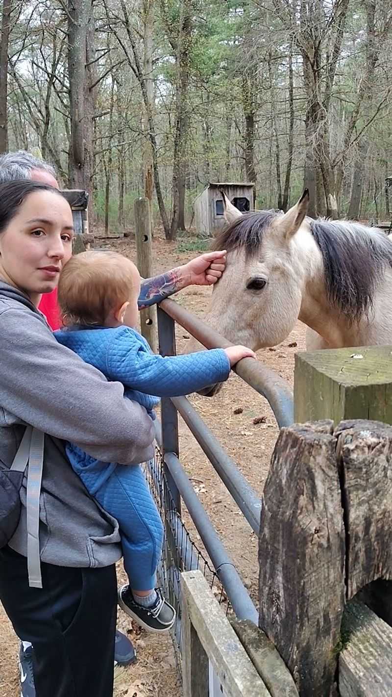 Winslow Farm Animal Sanctuary (Norton)