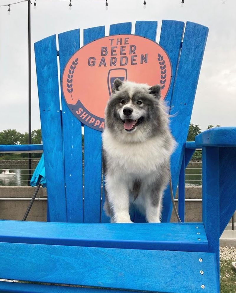 Beer Garden at Shippan Landing (Stamford)