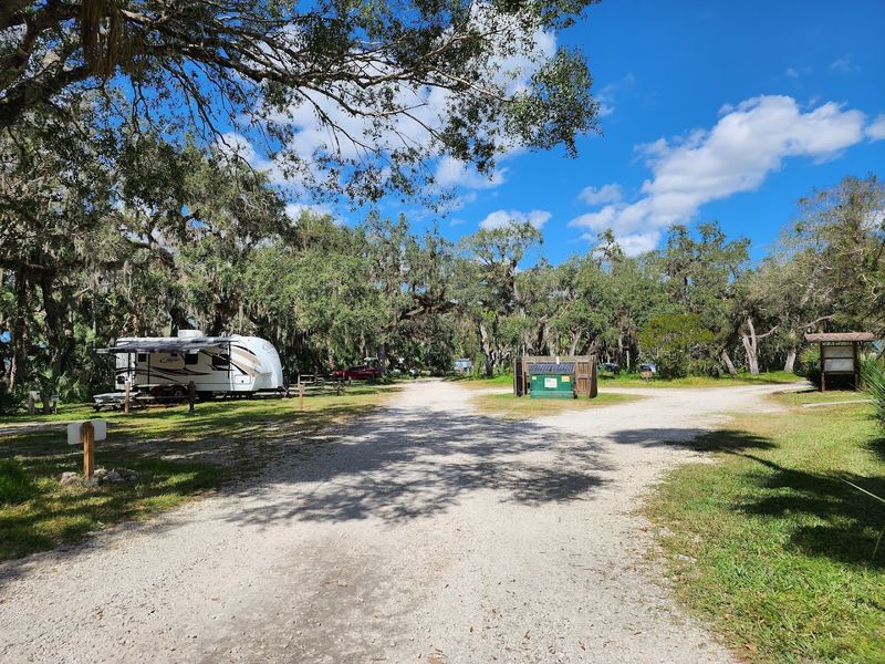 Peaceful Camping Under Ancient Oaks