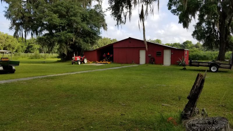 B&G Blueberries / Local U-Pick Outposts, Fort McCoy, Marion County