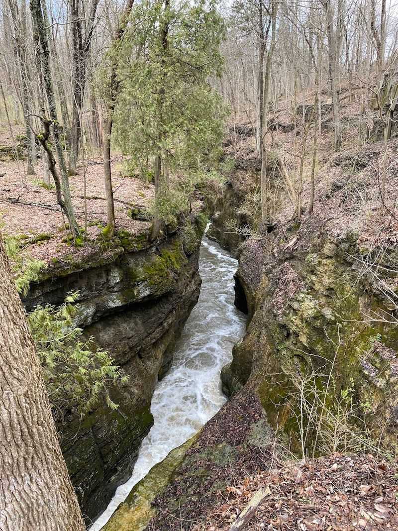 Clifton Gorge Springs &ndash; Clifton