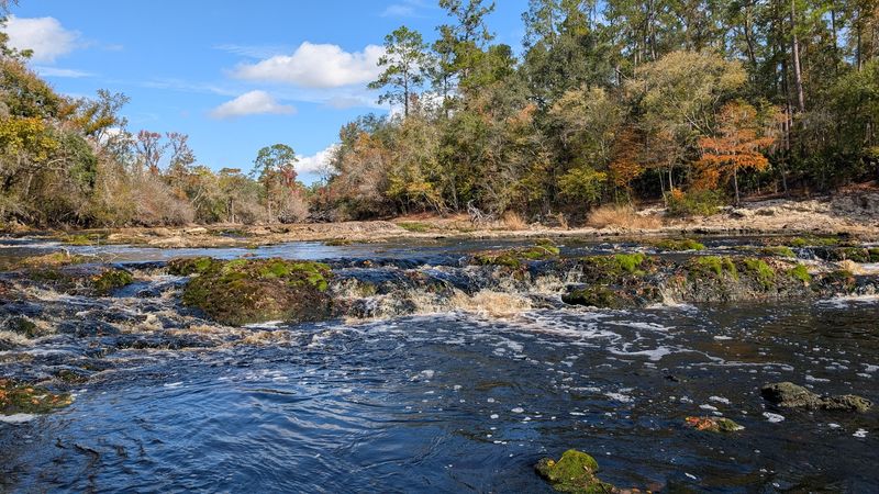 Suwannee River