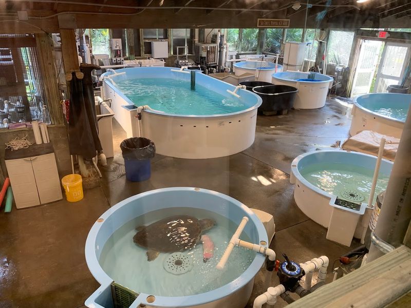 Marine Science Center