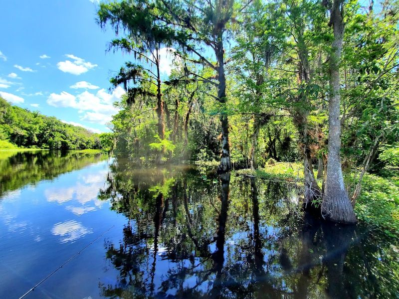 Ocklawaha River