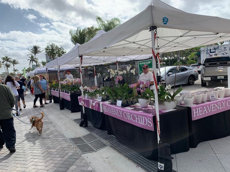 Clematis GreenMarket &ndash; West Palm Beach