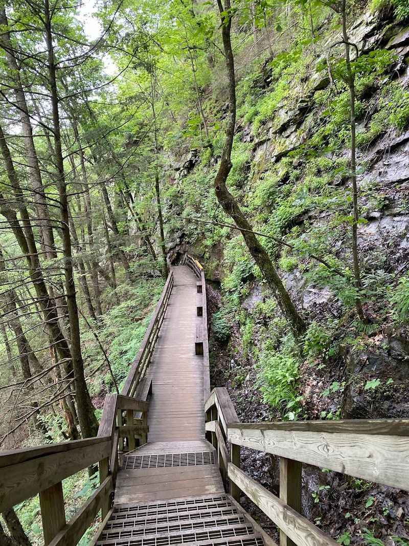 Cloudland Canyon State Park &mdash; Scenic Views Without A Fast Pace