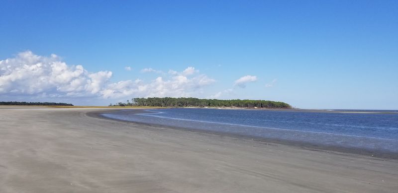 Blackbeard Island Beach - Blackbeard Island, McIntosh County, Georgia