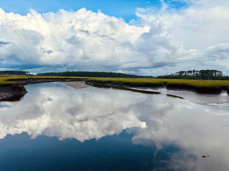 Harris Neck National Wildlife Refuge - Townsend, McIntosh County