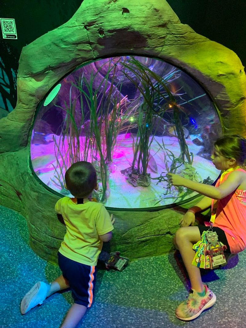 Scavenger Hunt Adventure Throughout Exhibits