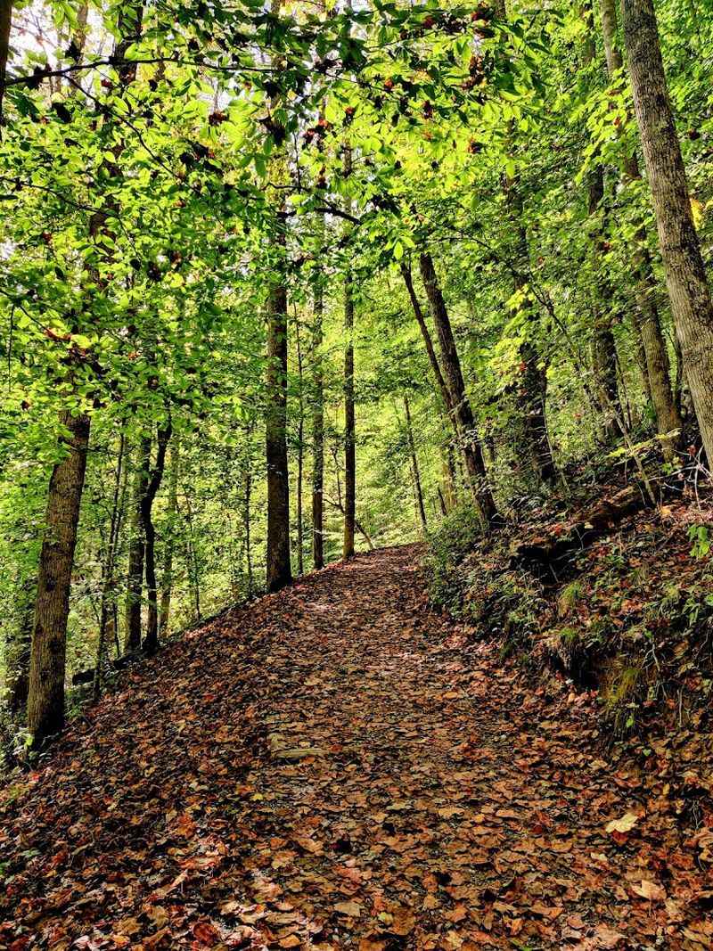 Deep Creek Loop Trails
