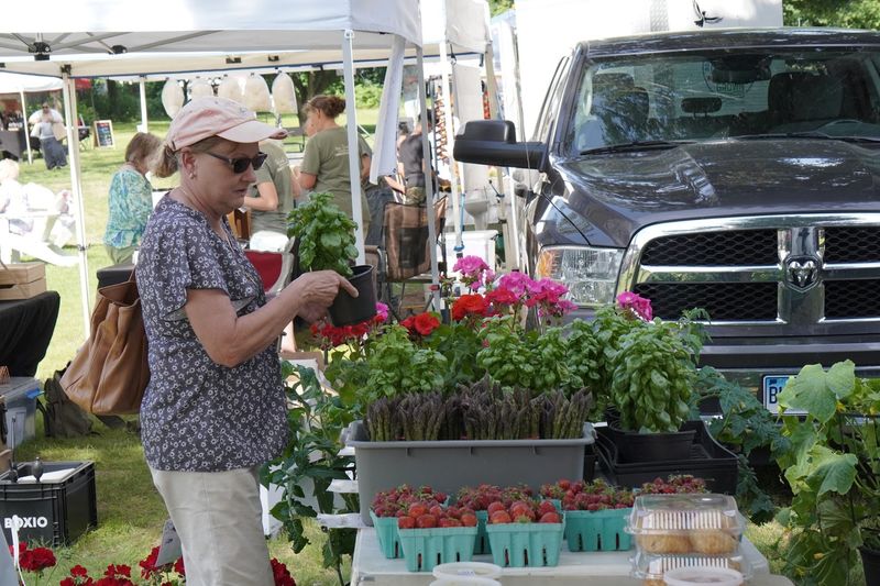 Manchester Spruce Street Farmers Market &mdash; Manchester