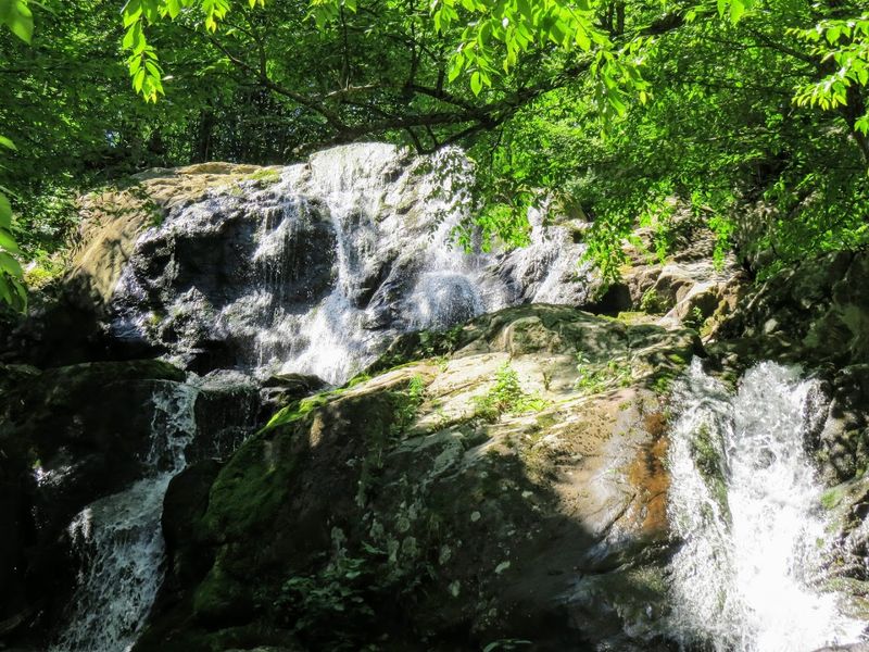 Dark Hollow Falls Trail - Shenandoah National Park