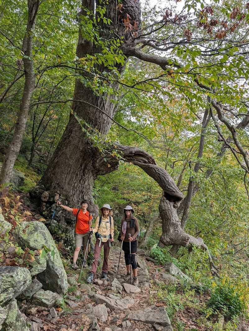 Mary’s Rock