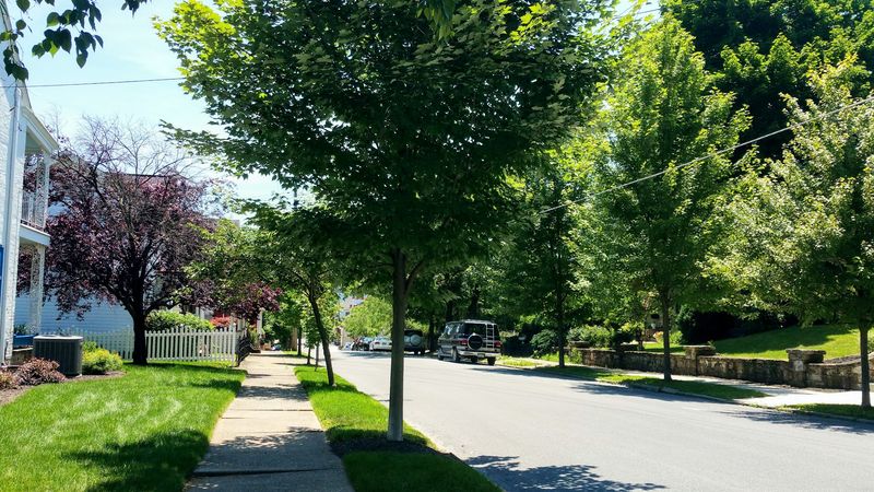 Hollidaysburg, Blair County