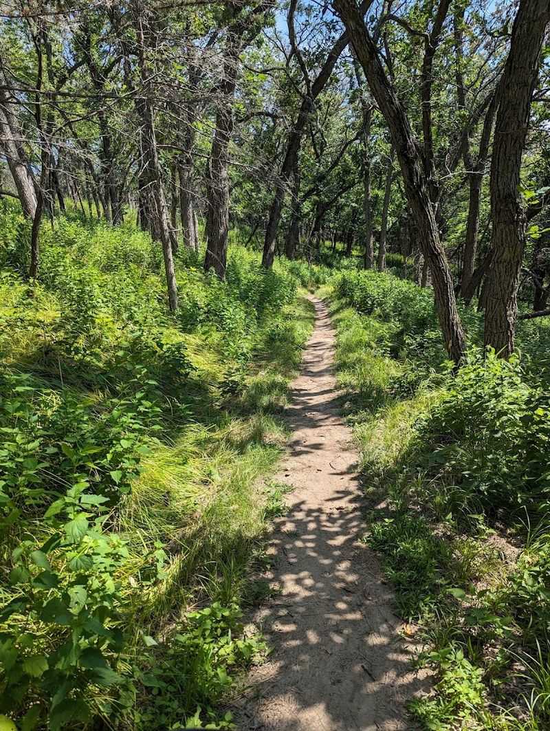 Miles of Scenic Hiking and Biking Trails