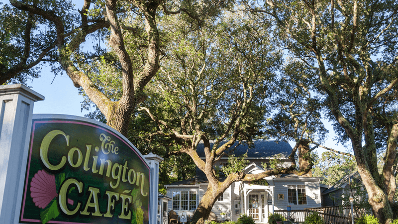 The Colington Caf&eacute; &ndash; Kill Devil Hills