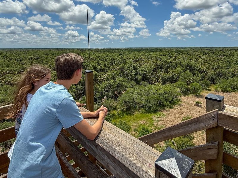 Towering Views From the Observation Platform