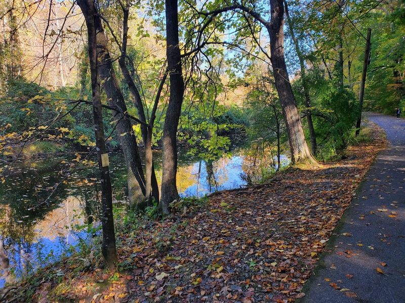 Ridley Creek State Park Trails 