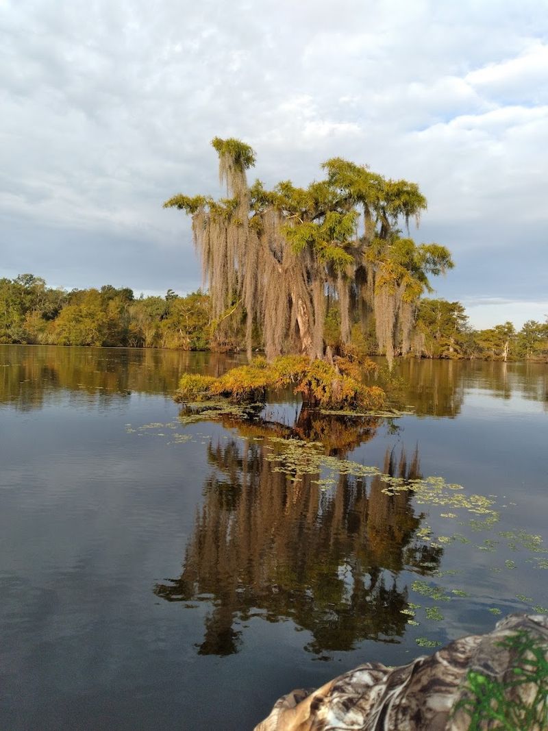 Apalachicola River