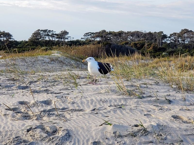Birdwatcher's Paradise