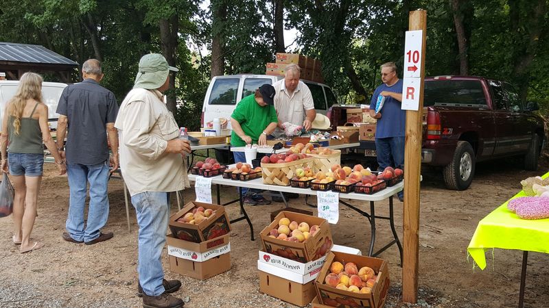 Farmers Market Flea Market, Lexington, Davidson County