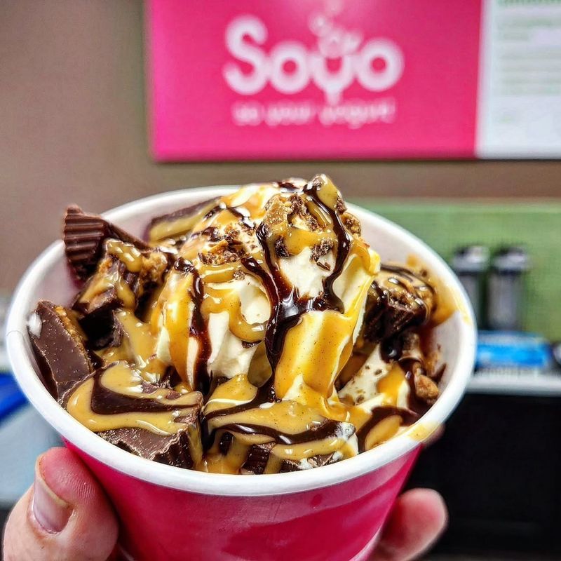 SOYO So Your Yogurt &ndash; Centerville
